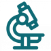 Pharmazeutische Formulierungs-Exzellenz